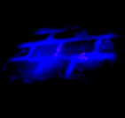 Noční Vyšehrad s UV baterkou