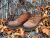 TEST Kanadské boty do zimy Kamik Griffon mid