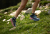 Běžecké ponožky pro trailový běh