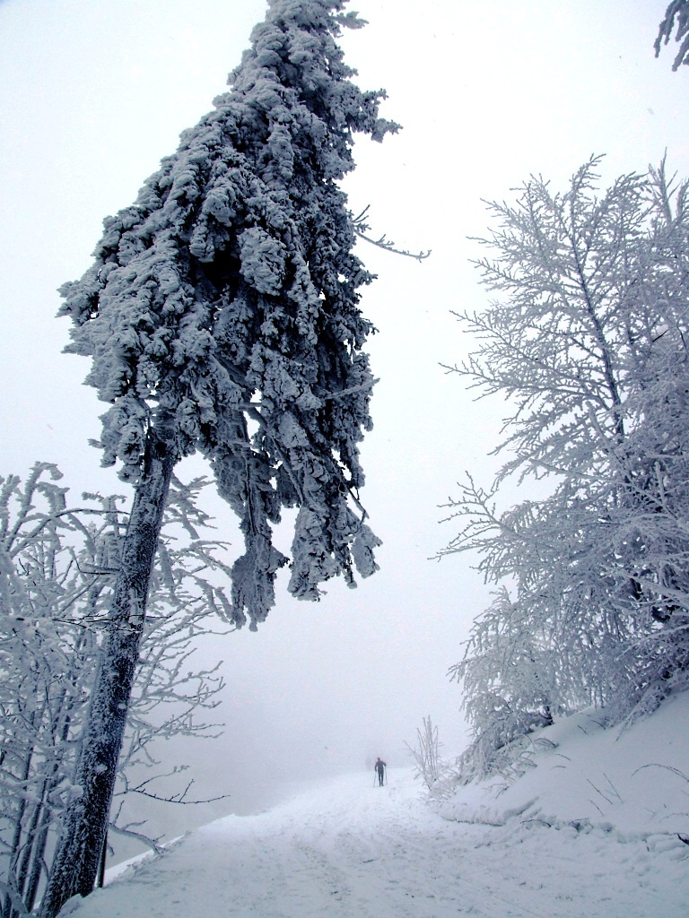 Foto van  Na lyžích po naučené stezce Čertův mlýn/Cross country skiing along the nature trail Čertův mlýn.