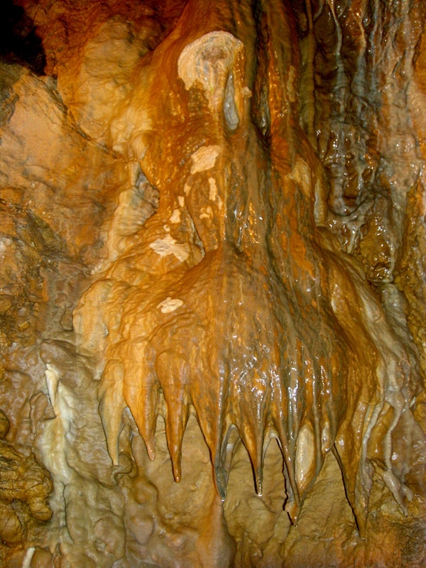 Bozkovsk jeskyn