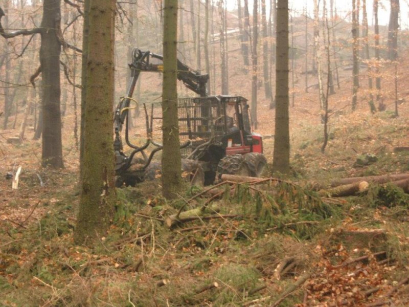 esk vcarsko, tba v listopadu 2011 - Horydoly.cz 