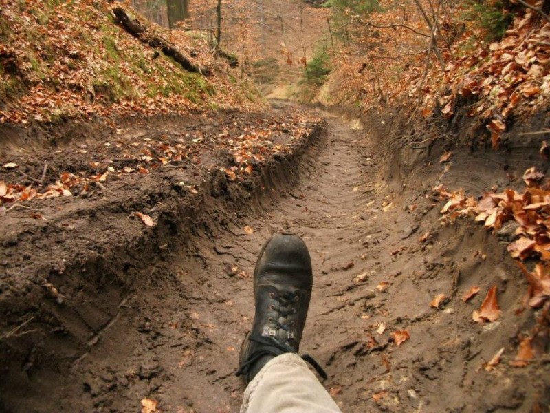 esk vcarsko, tba v listopadu 2011 - Horydoly.cz 