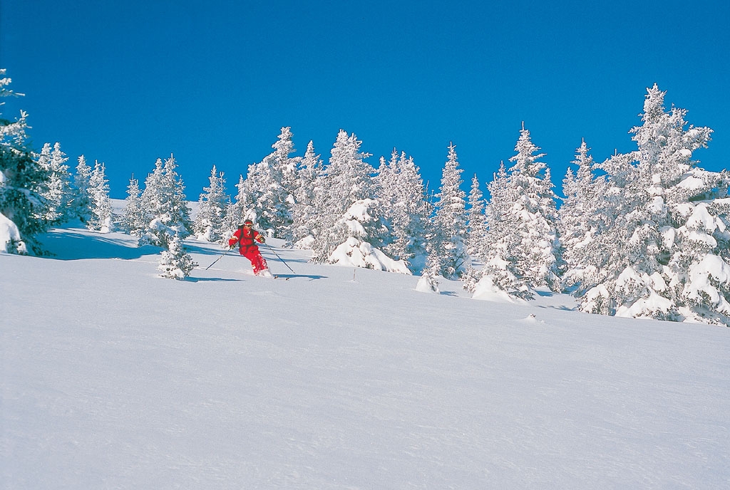 Chamonix, Balme Area