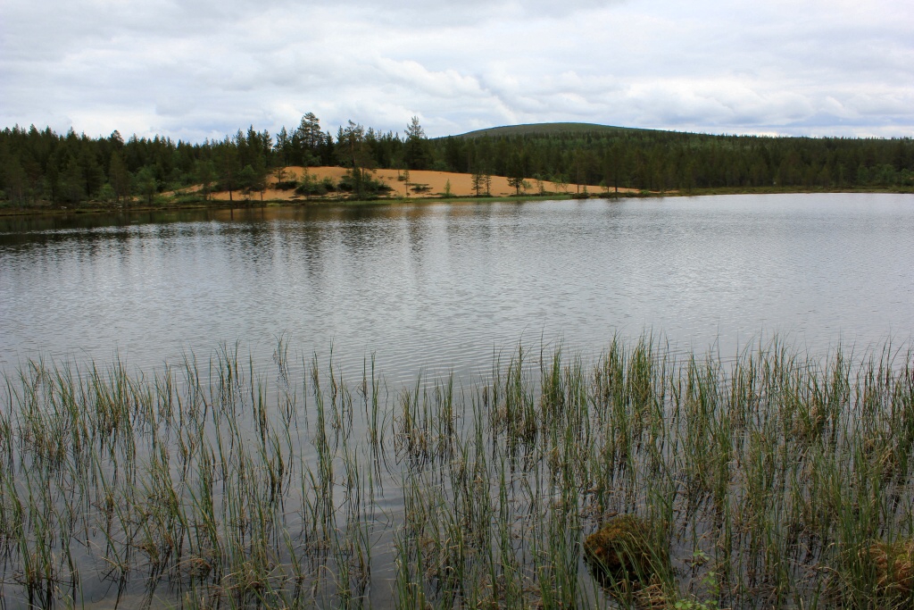 Urho Kekkonen National Park - Horydoly.cz 