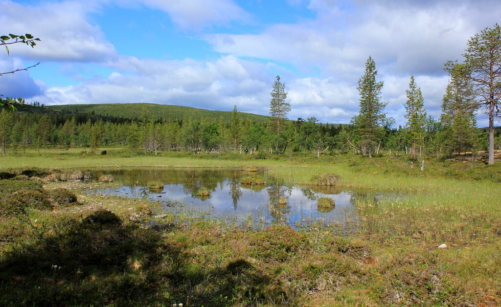 Urho Kekkonen National Park - Horydoly.cz 