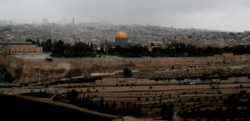 Jerusalem Marathon 2011 - Horydoly.cz 