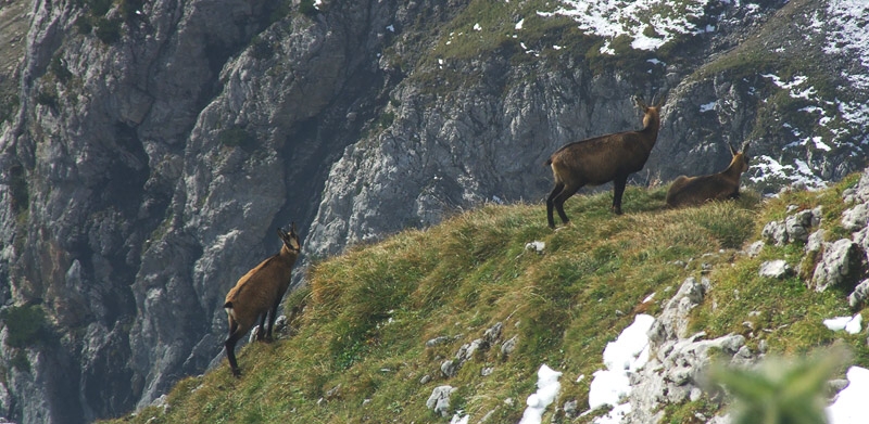 Mittenwalder Hhenweg / Klettersteig