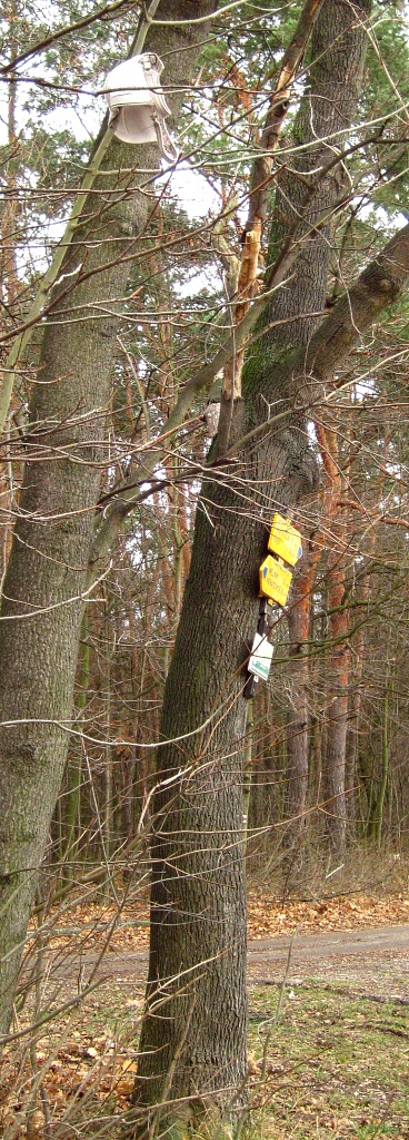 Labe mezi Neratovicemi a Kerskem - Horydoly.cz 