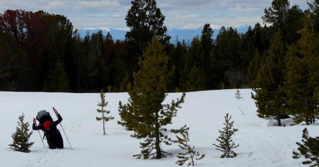 Longs Peak Rocky Mountains - Horydoly.cz 