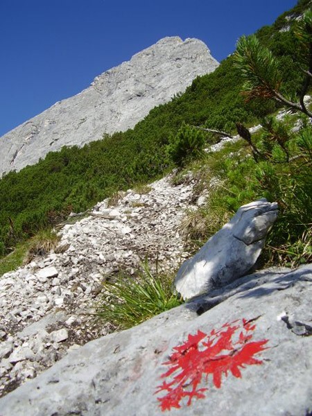 Adler Klettersteig na Karkopf Mieminger Kette