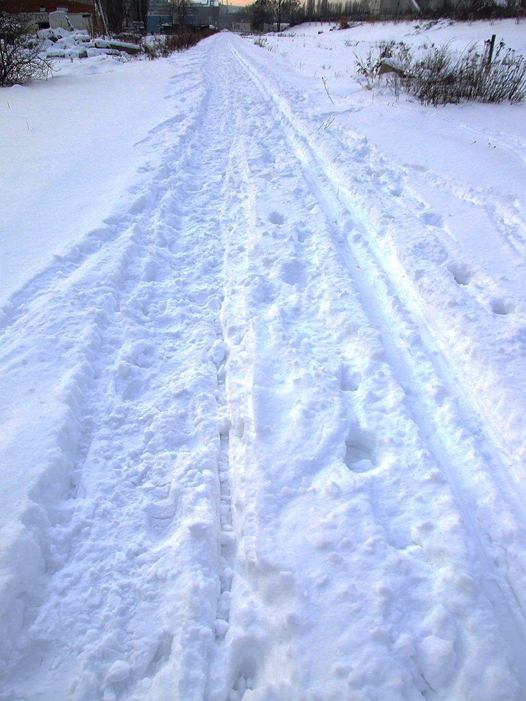 Praha, Rohansk ostrov, cyklostezka - Horydoly.cz 