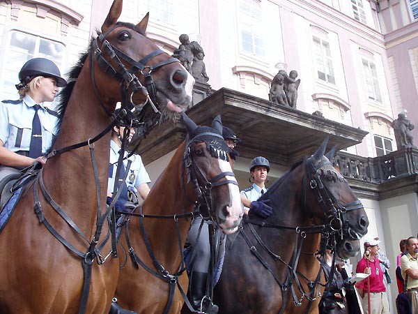 Prask hrad, prvod Karla IV.