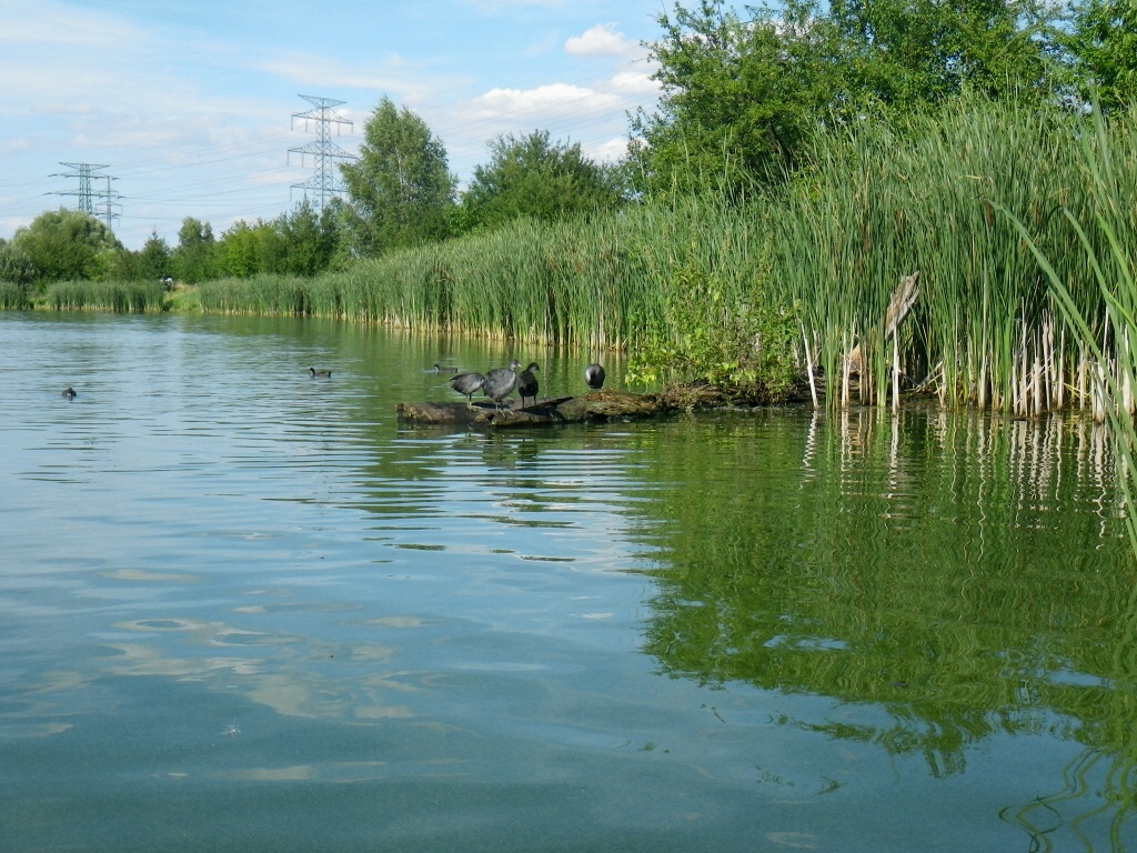 Praha, eberk - Horydoly.cz 