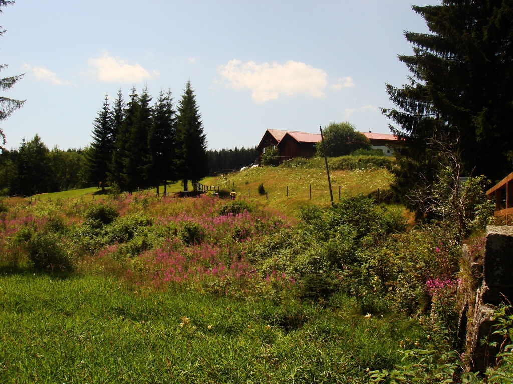 umava, Stoec a okol - Horydoly.cz 