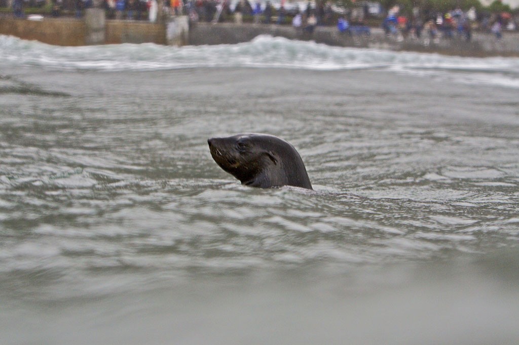 Cold Water Classic South Africa Cape Town 2009