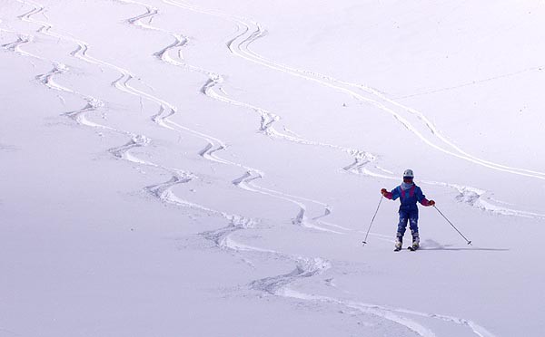 Passo Tonale, freeriding