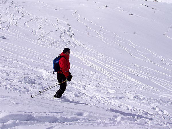 Passo Tonale, freeriding