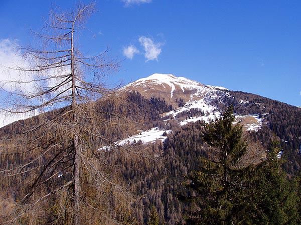 Passo Tonale, lyovn na sjezdovkch