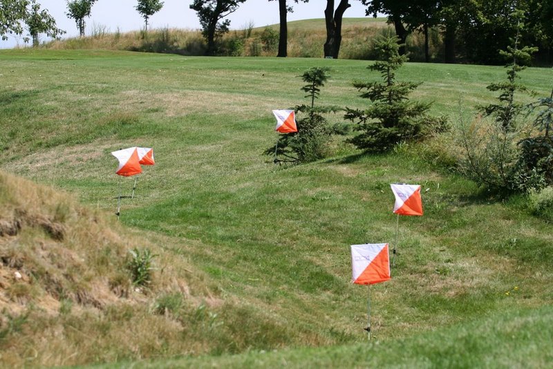 World Trail Orienteering Championchip 2008