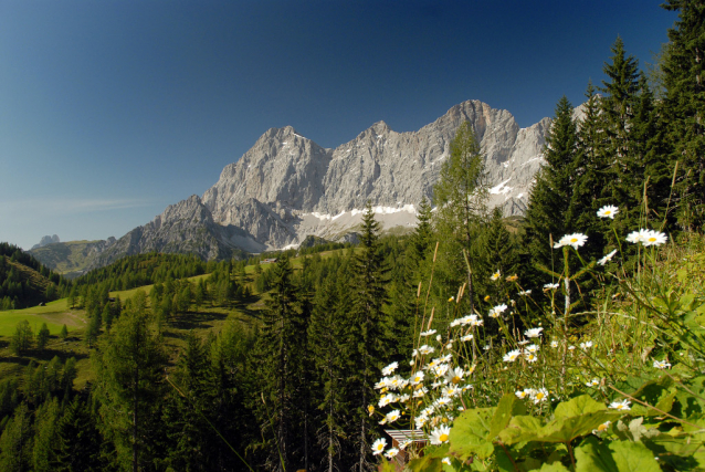 Velké skalní řícení na Dachsteinu