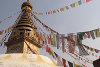 Trekking In Nepal: Himalayan Frozen Adventure