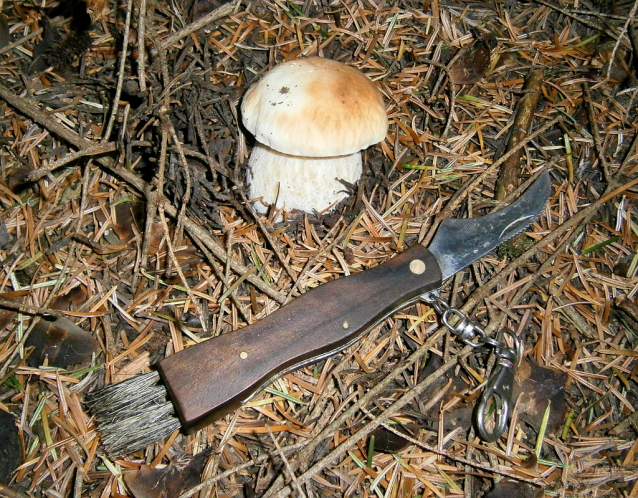Oblečení Bushman na houby