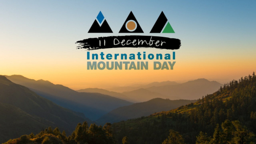 Mezinárodní den hor