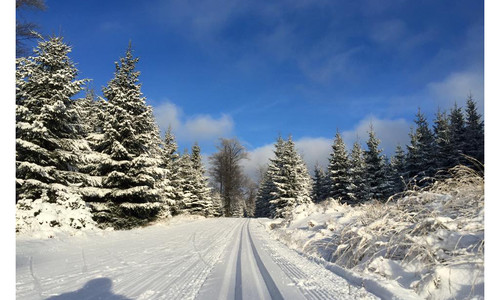 Fantastické stopy v Polsku Fantastické stopy v Polsku