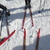 V Krkonoších se lyžuje o sto šest