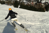 V Alpách je lepší lyžování, lžou novináři