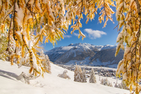 Běhat na lyžích v údolí Valtellina
