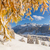 Livigno - skvělá zima v nejlepším evropském resortu