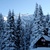 Nízke Tatry: Kráľova hoľa a Ďumbier