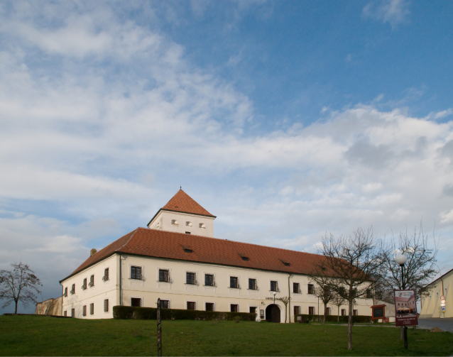 Templářské sklepy Čejkovice, majetek rytířského řádu 
