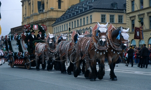 Oktoberfest: dvě století říjnových slavností Oktoberfest: dvě století říjnových slavností