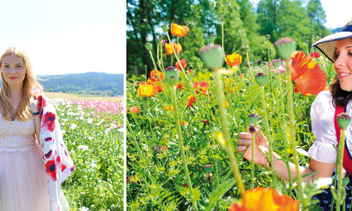 A small village called Mohndorf-Armschlag and its own special flower