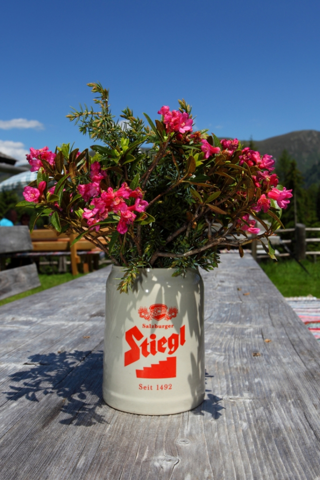 Květy Vápencových Alp