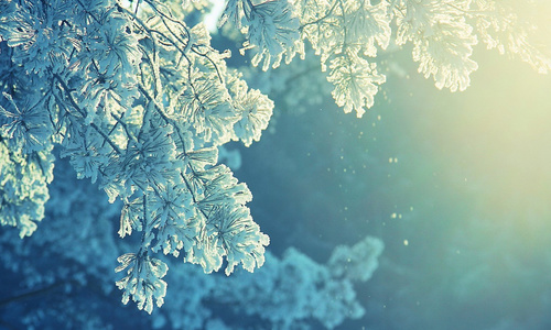 Kam se sněhem? Doprostřed křižovatky! Kam se sněhem? Doprostřed křižovatky!