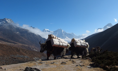 Nepál a Indický Himálaj