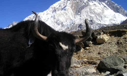 The best thing to do in Nepal