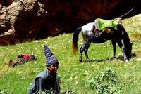 Koňský příběh z afghánských soutěsek