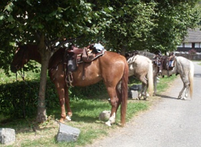 Koně před hospodou