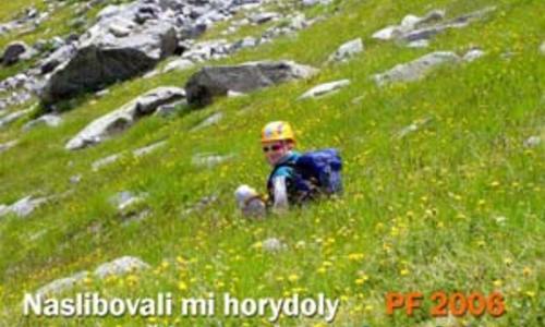 Šťastný nový rok Šťastný nový rok