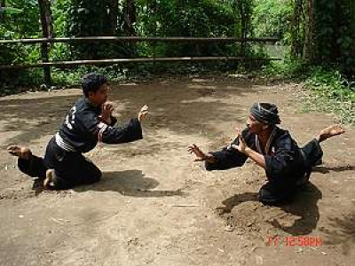 Indonéské bojové umění