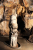 Mladečské jeskyně: pohřebiště lidojedů