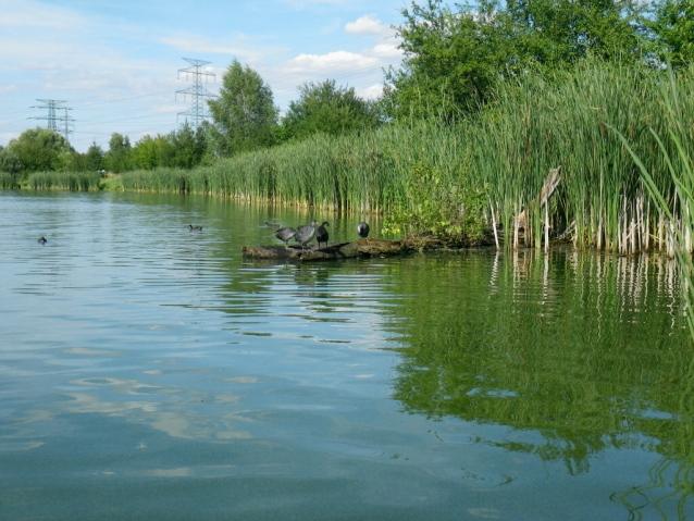 Výlovy rybníků 2021 září