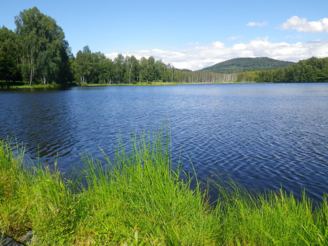 Václavský rybník zrcadlí Přimdu