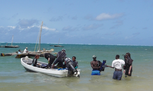 Mombasa Marine Park Mombasa Marine Park