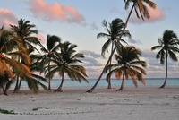 Isla Saona a tropické ostrovy Dominikánské republiky
